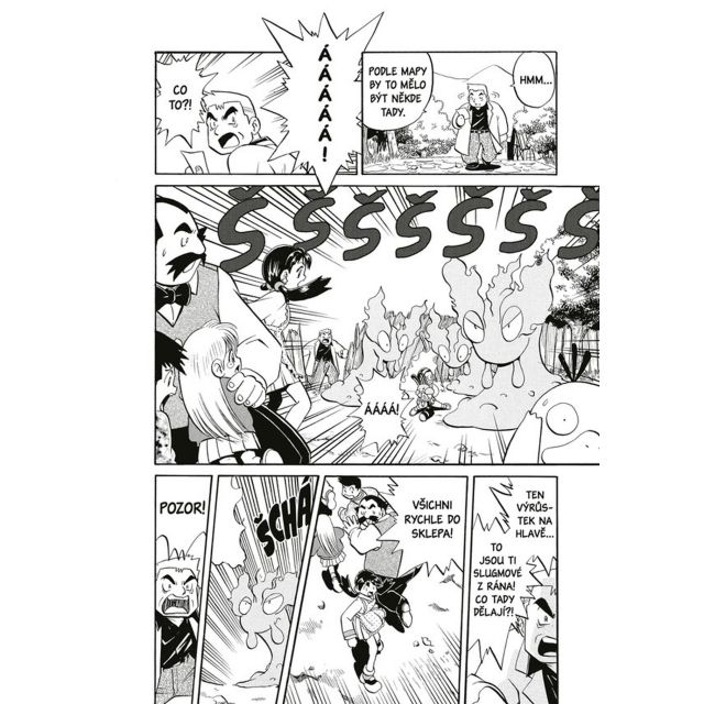 Crew Manga Pokémon 10 (Gold a Silver)