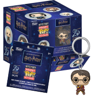 Harry Potter - přívěsek na klíče Harry Potter - přívěsek na klíče