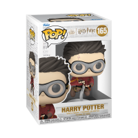 Harry Potter with Broom