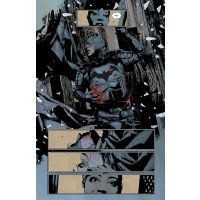 Komiks Batman: Dvojník