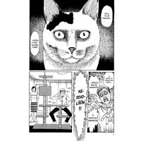 Manga Kočičí deníky - Junji Ito