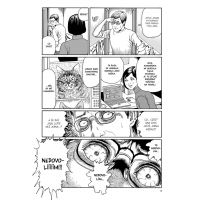 Manga Kočičí deníky - Junji Ito