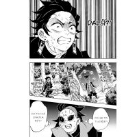 Manga Zabiják démonů 14: Nekonečná síla