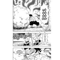 Manga Zabiják démonů 16: Nesmrtelnost