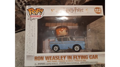 Ron Weasley in flying car