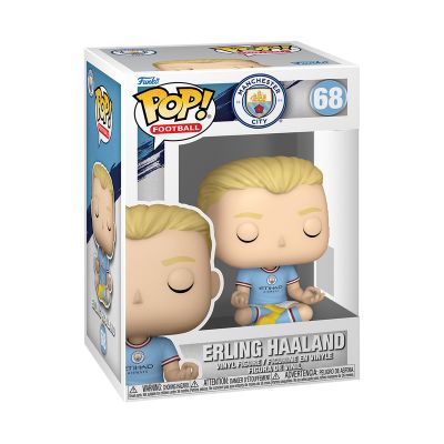 Erling Haaland (Pose)